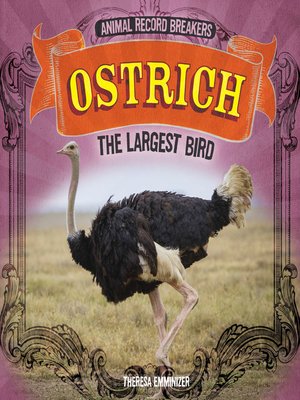 cover image of Ostrich: The Largest Bird